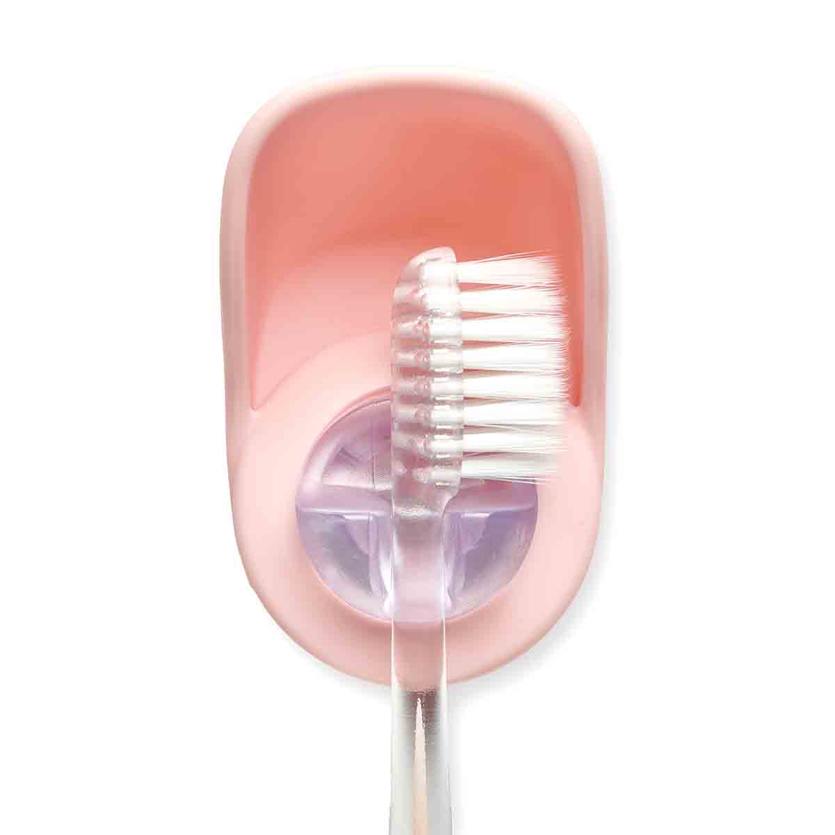 Suction Toothbrush Holder Blush