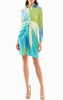 AUDREY SILK LONG SLEEVE SHIRT DRESS
