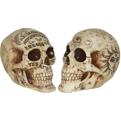 7" Fortune Telling Skull Asst 2
