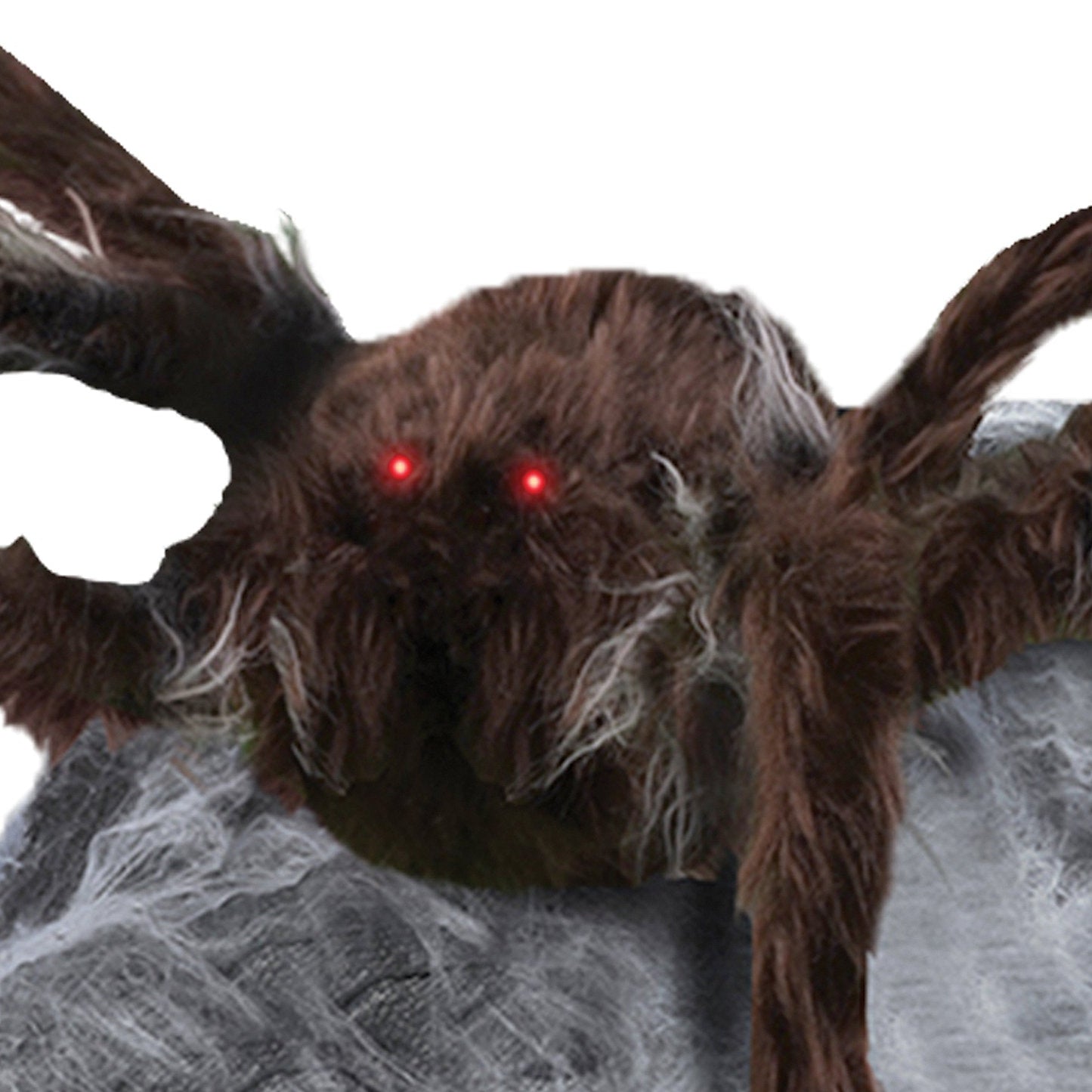 Brown Jumping Spider Decoration