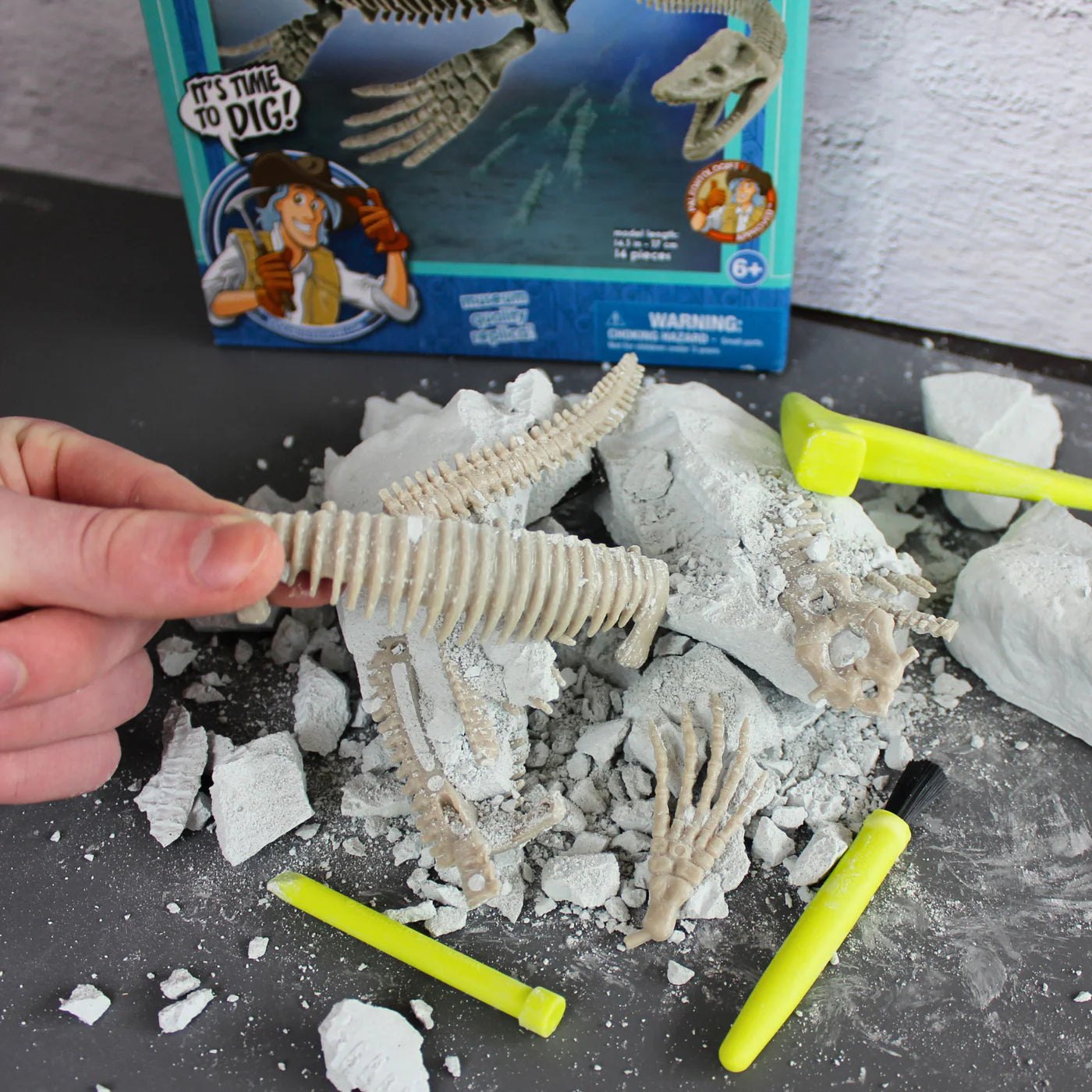 Sea Monster Dig Elasmosaurus Excavation Kit