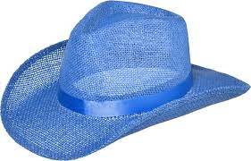 Western Straw Hat Blue
