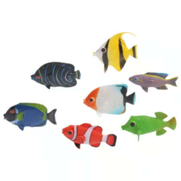 Mini Tropical Fishes