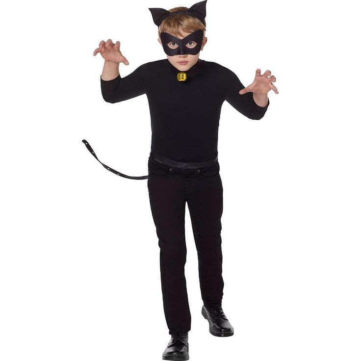 Miraculous Ladybug Cat Noir Costume
