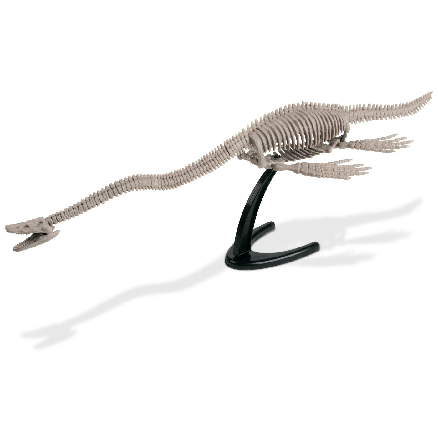 Sea Monster Dig Elasmosaurus Excavation Kit
