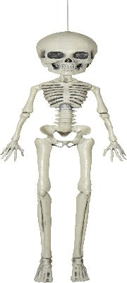 16" Skeleton Woman (Joints Cannot Move)