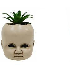 Creepy Doll Succulent