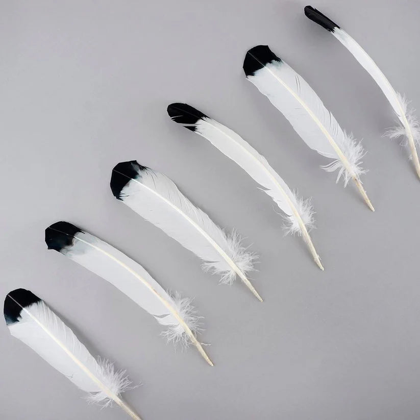 Imitation Eagle Turkey Quills - Black