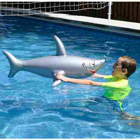 Inflatable Sharks