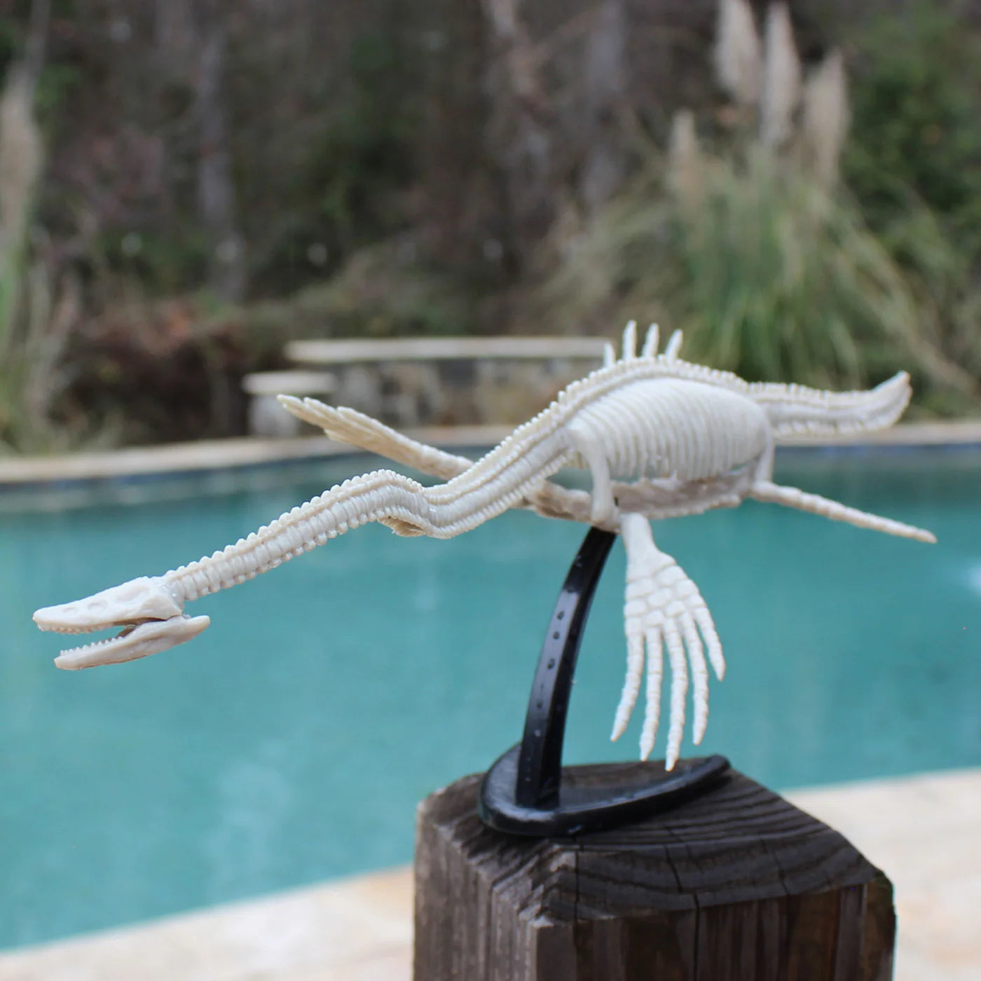 Sea Monster Dig Elasmosaurus Excavation Kit