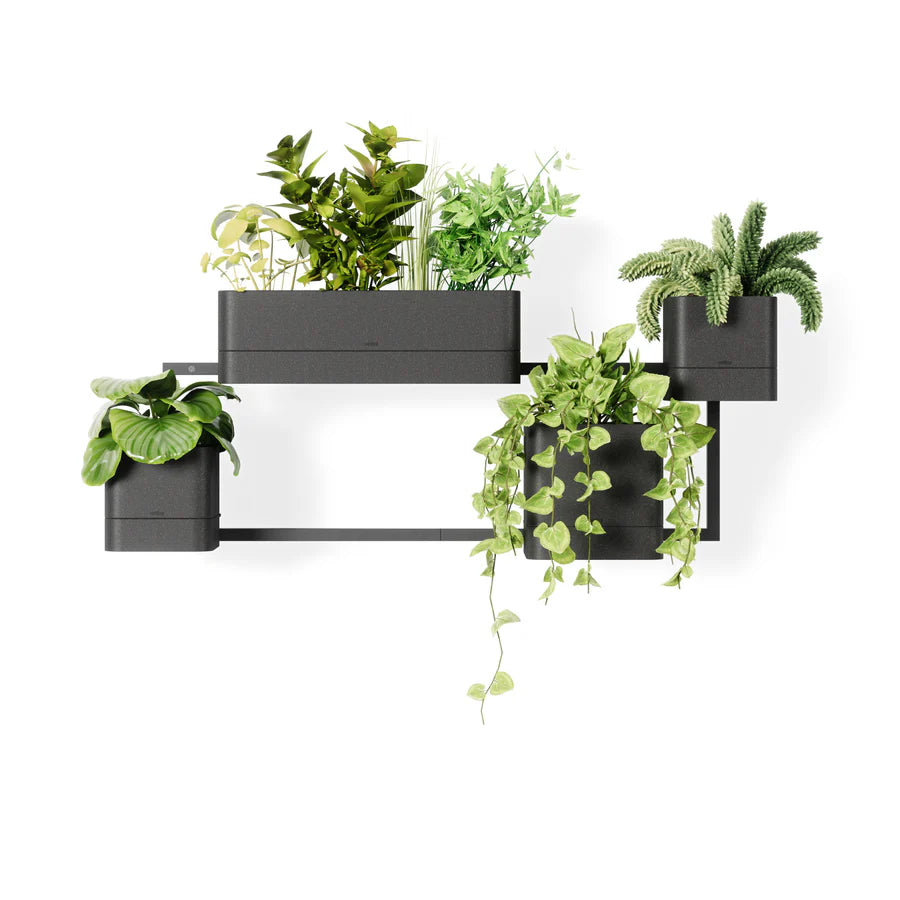 Cubiko Wall Planter