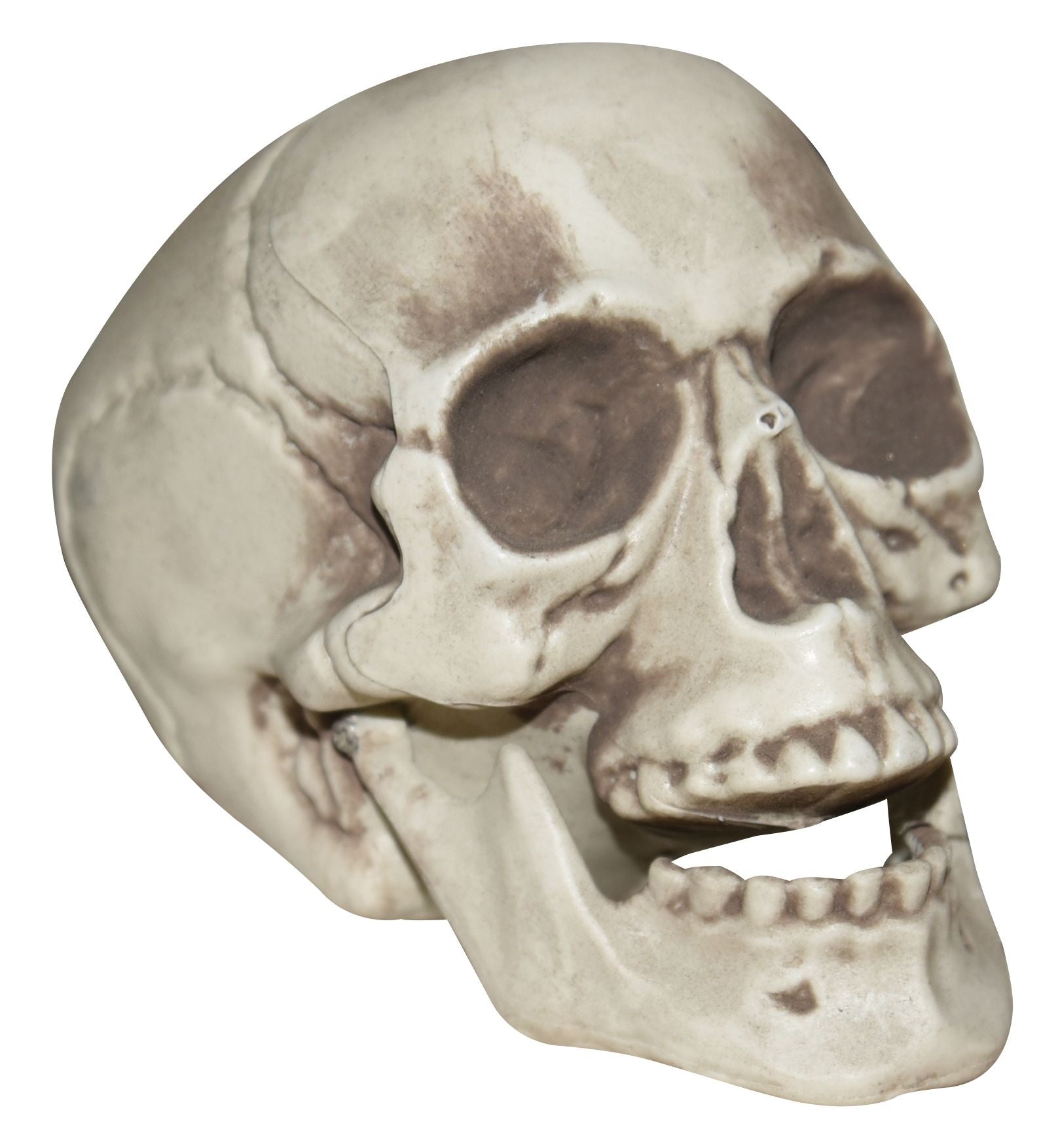 Tabletop skull
