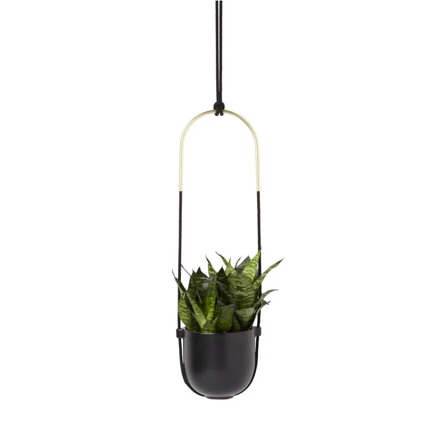 Bolo Hanging Planter