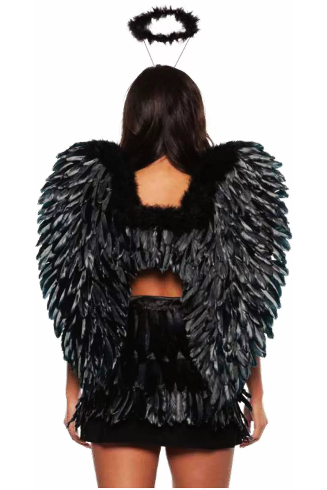 Wings-Black Feather