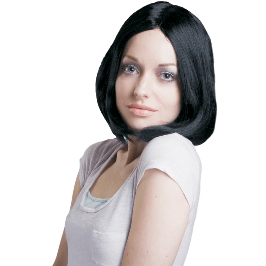 Straight Hair Black Wig