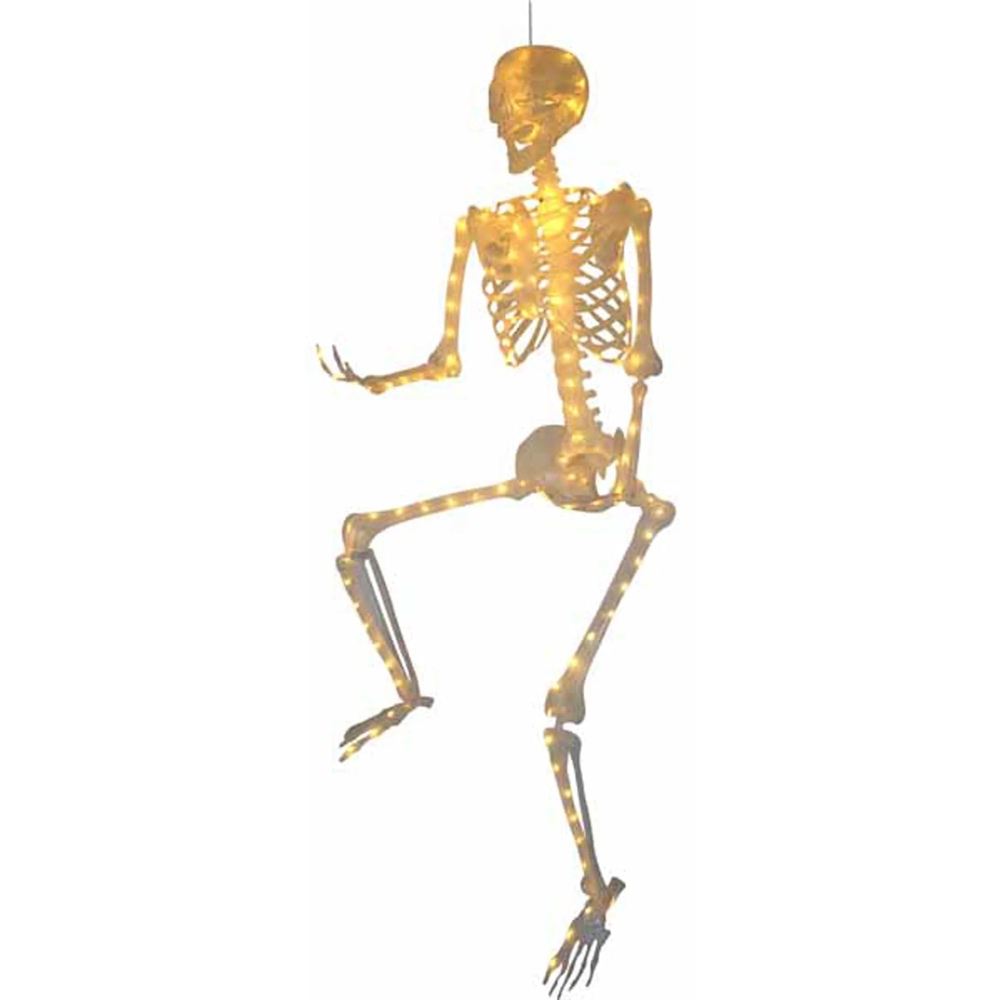 5F Skeleton with Hole Body Light String