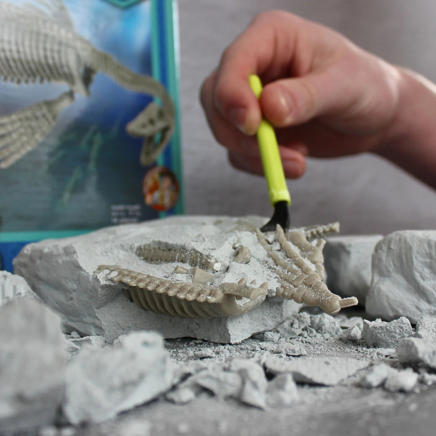 Sea Monster Dig Elasmosaurus Excavation Kit