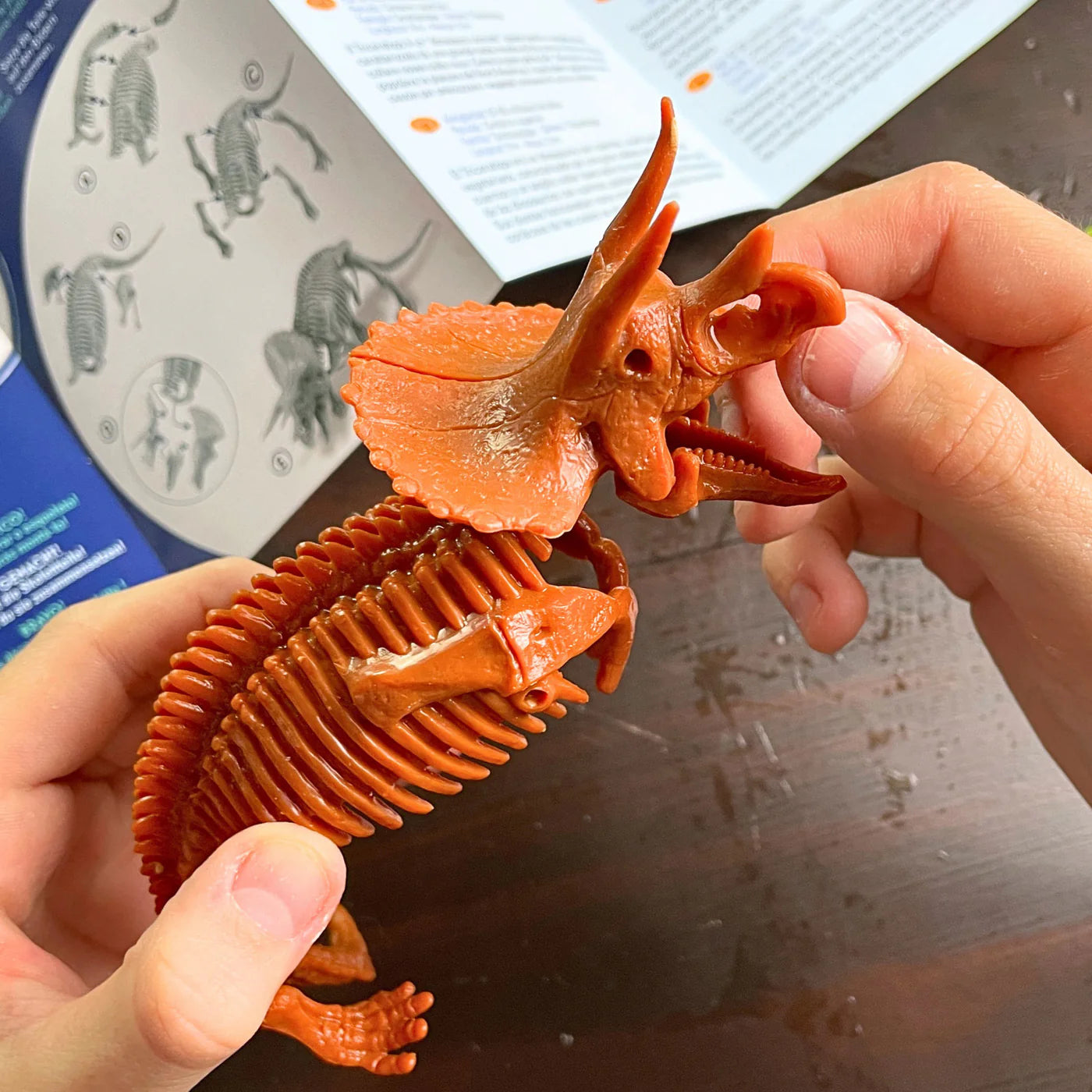 Dino Dig Triceratops Excavation Kit