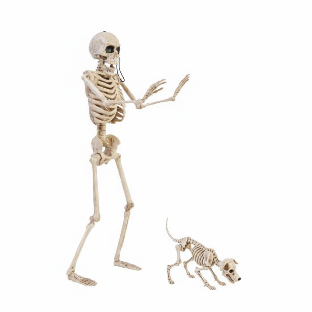 14" Skeleton Walker and Pet