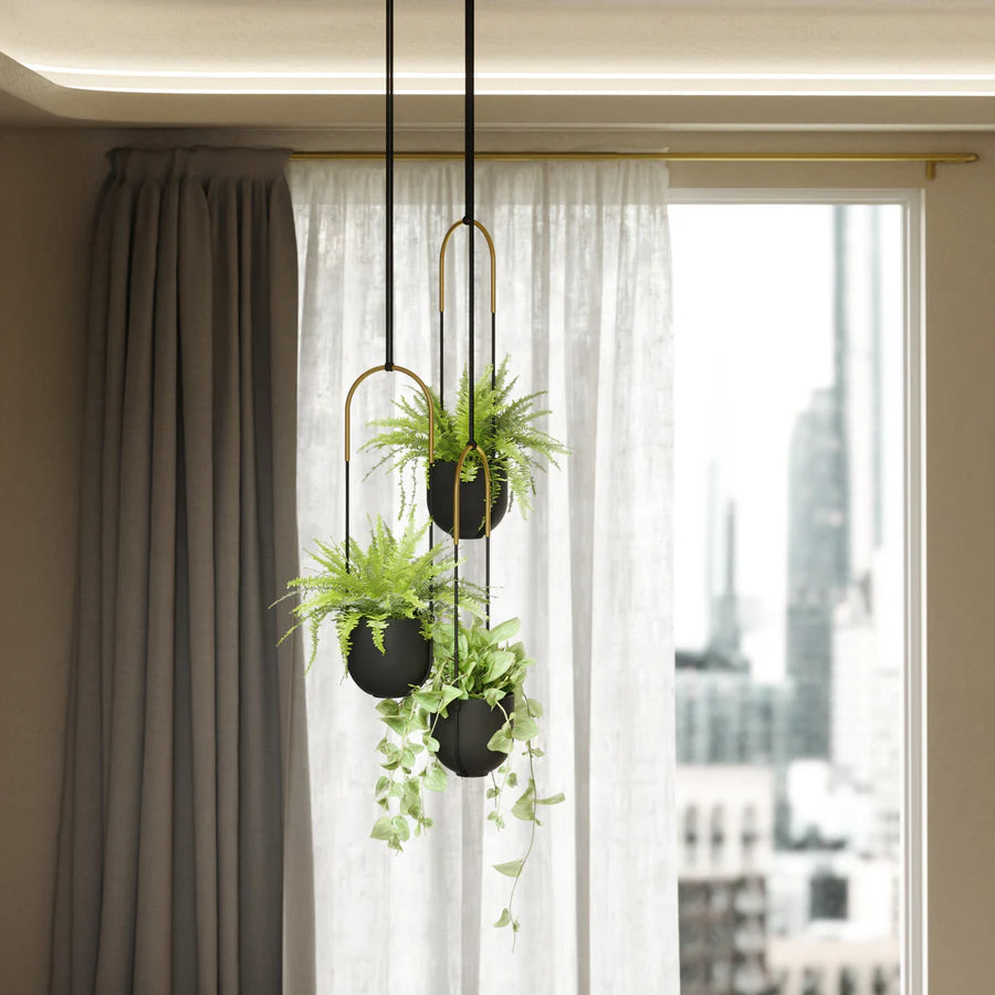 Bolo Hanging Planter