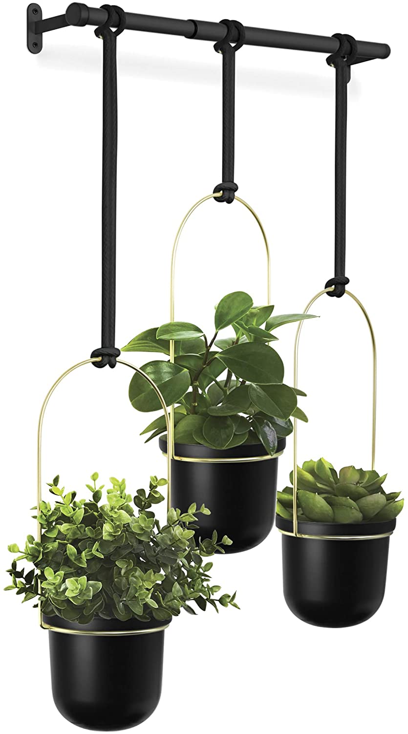 TRIFLORA HANGING PLANTER BLACK /BRASS – PIEX