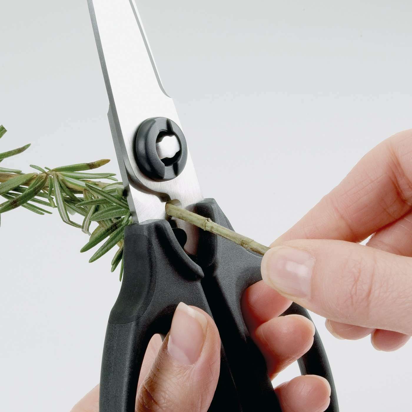 OXO GG KITCHEN AND HERB SCISSORS