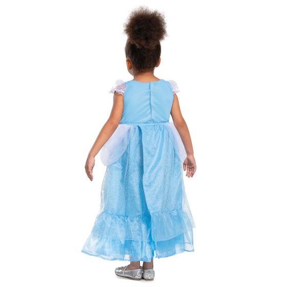 Cinderella Adaptive Costume