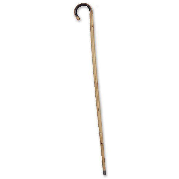 BAMBOO CANE