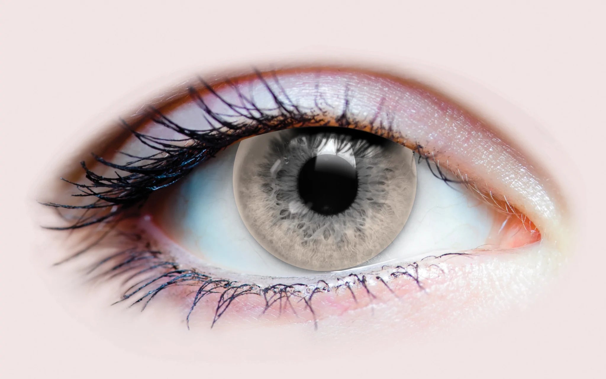 PURE CHESTNUT CONTACT LENSES