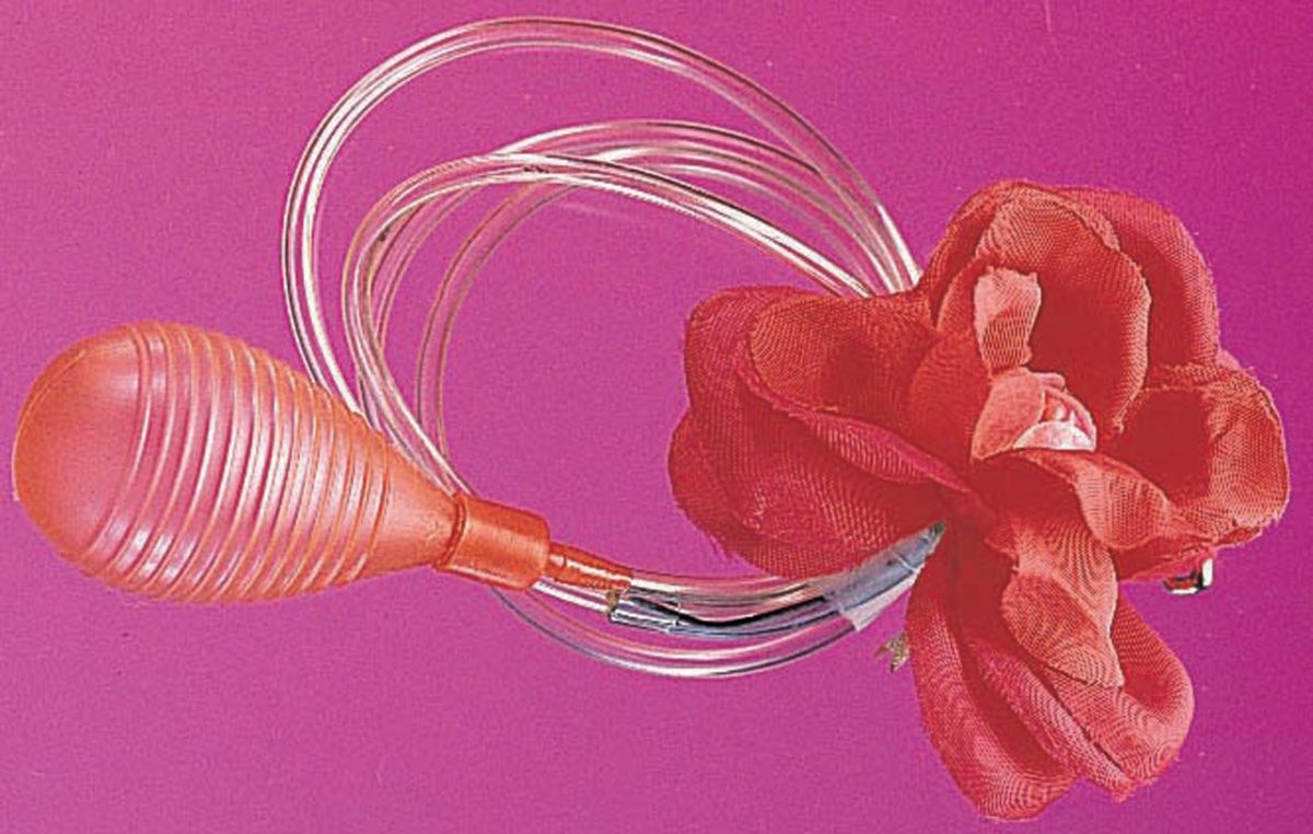 Jumbo Squirt Rose
