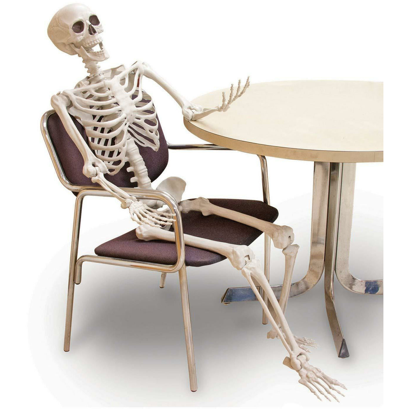 60" Posable Skeleton