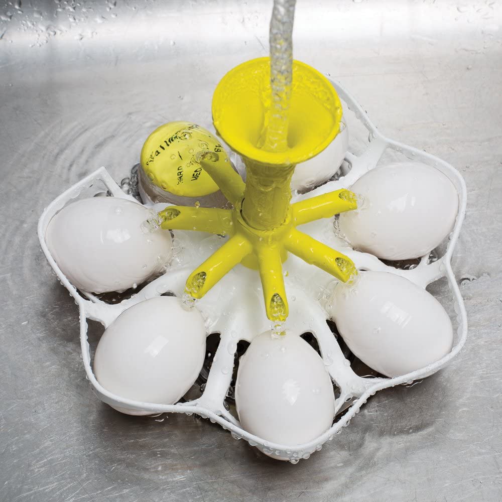 Exact Egg Boiler White/Yellow