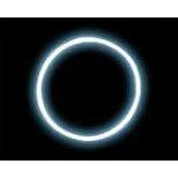 22" Glow blu Necklace