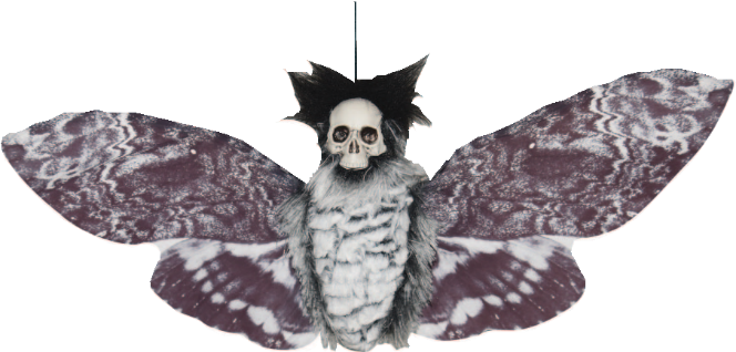 Hanging Moth