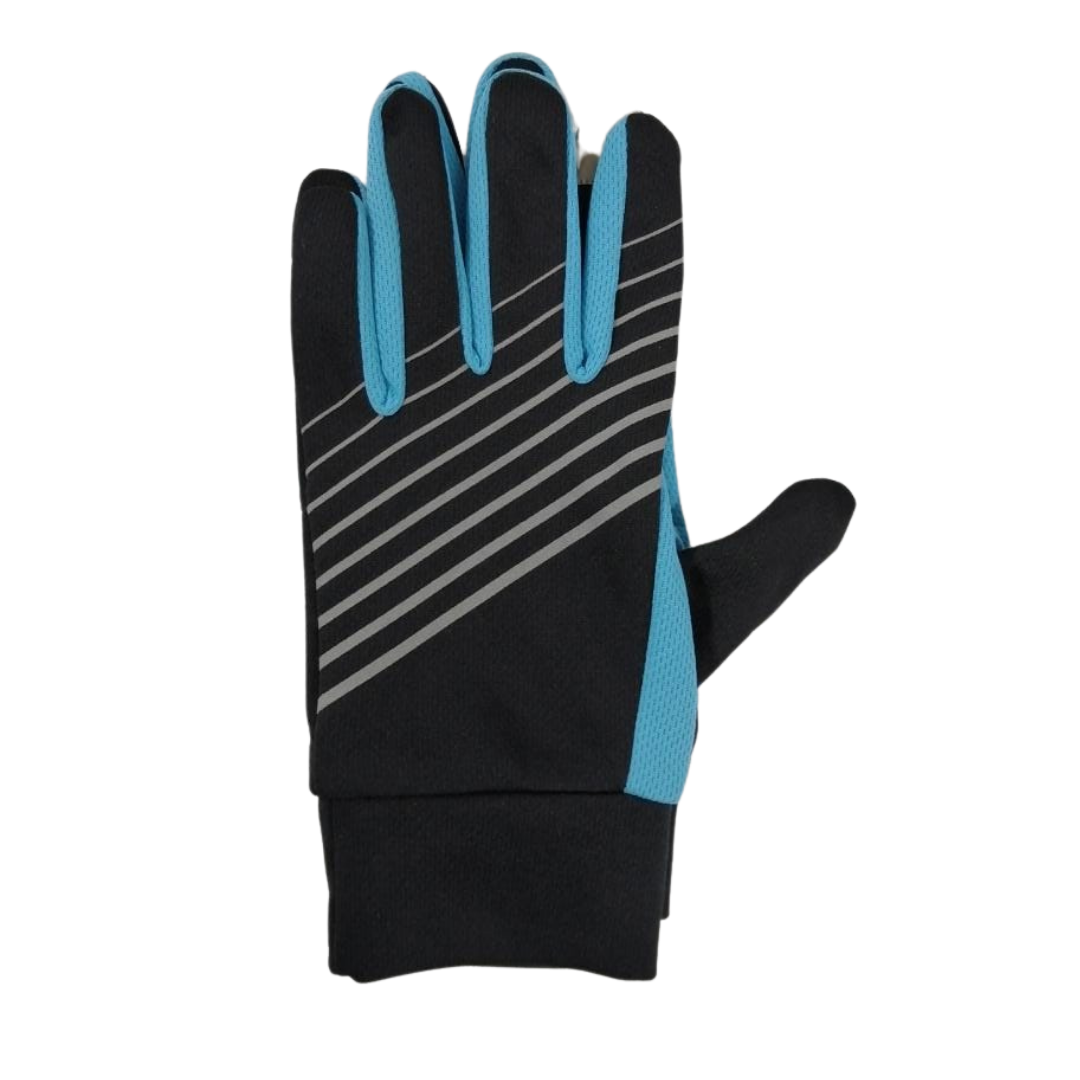 Winter Gloves Tech touch in 3 colors