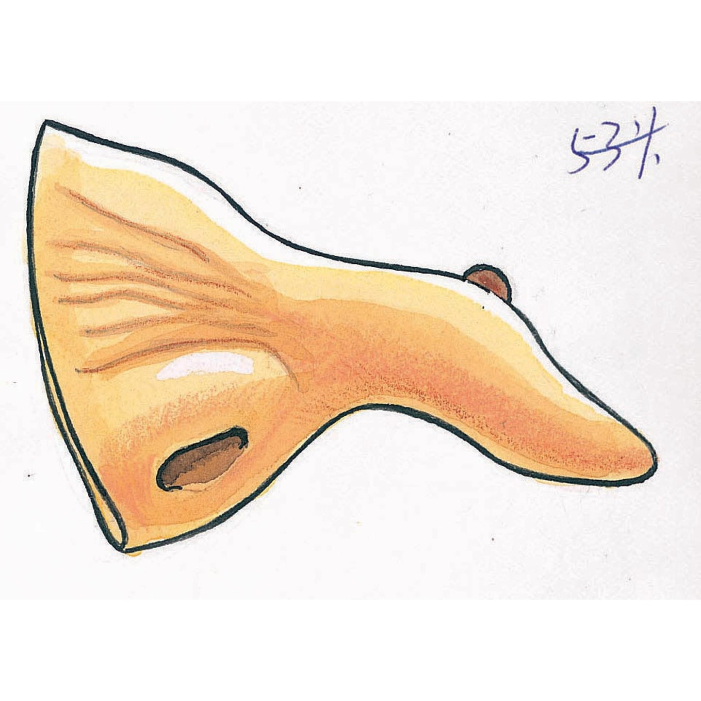 Witch nose w/ wart