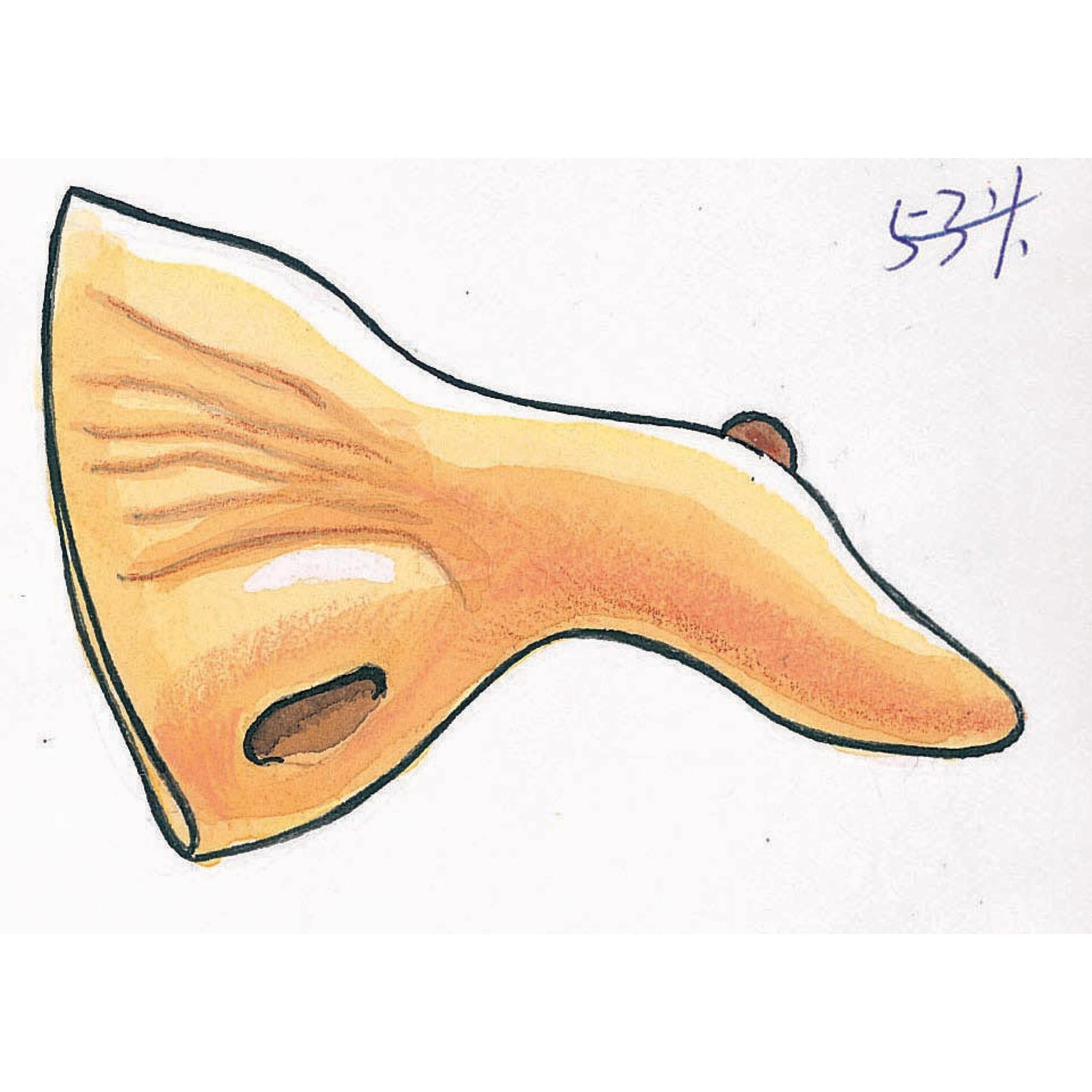 Witch nose w/ wart