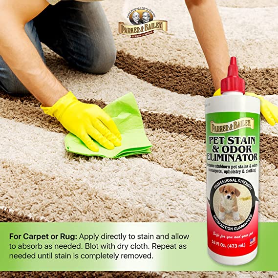Pet Stain Remover 16oz
