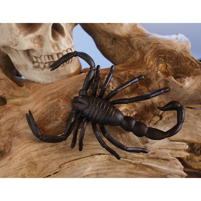 Jumbo Scorpion 6.5"