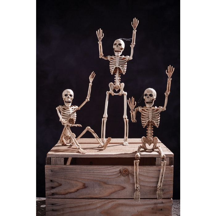 SKELETON