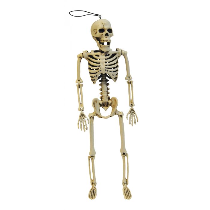 SKELETON