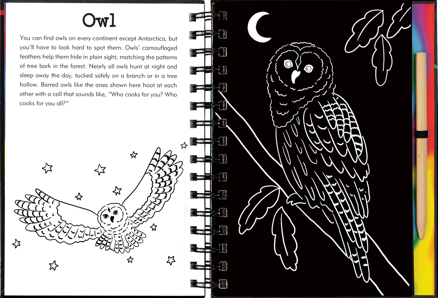 Forest Friends Scratch and Sketch