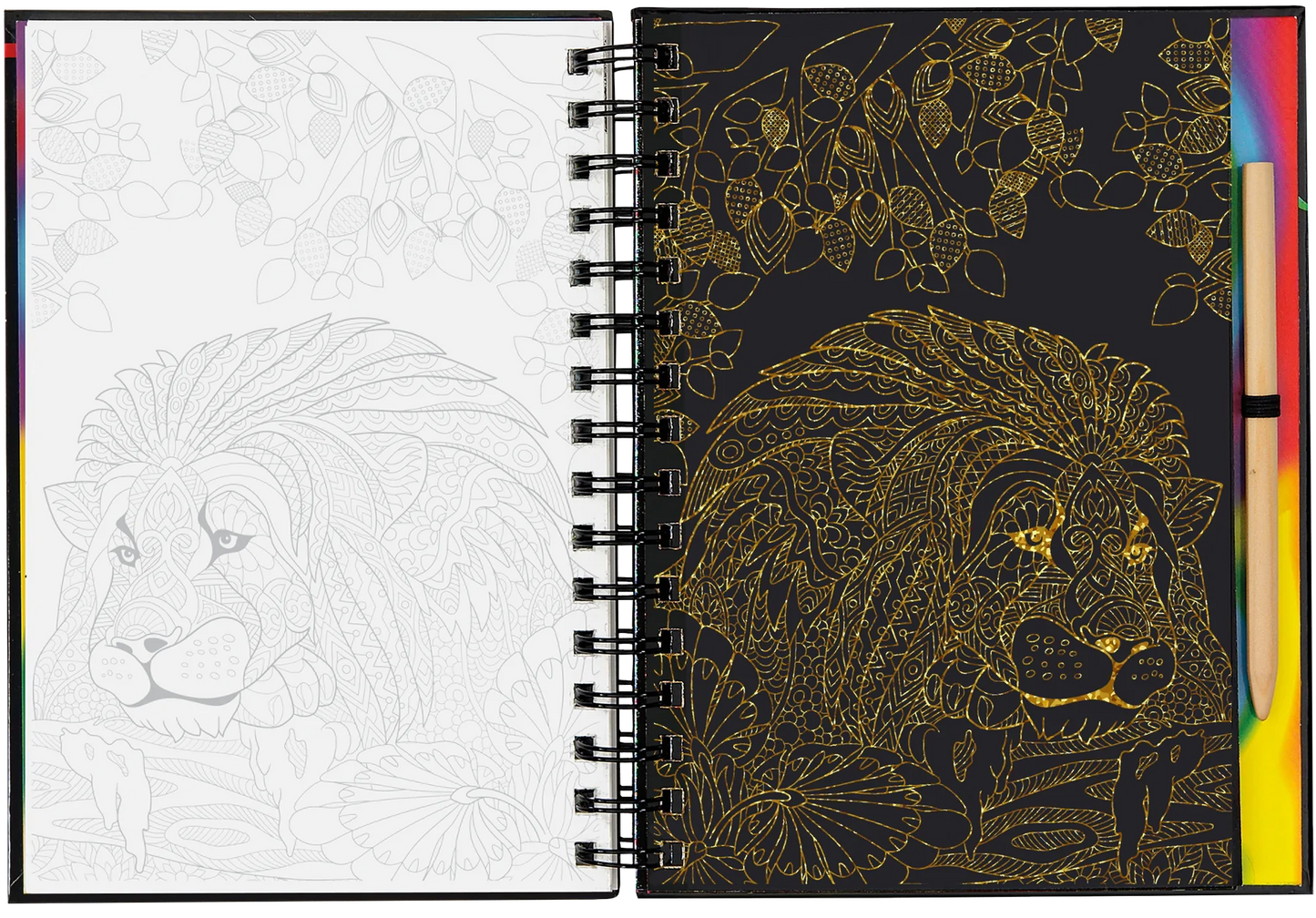 Extreme! Animals Scratch and Sketch