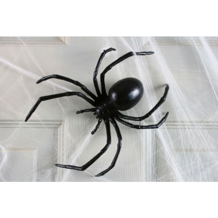 6" Black widow
