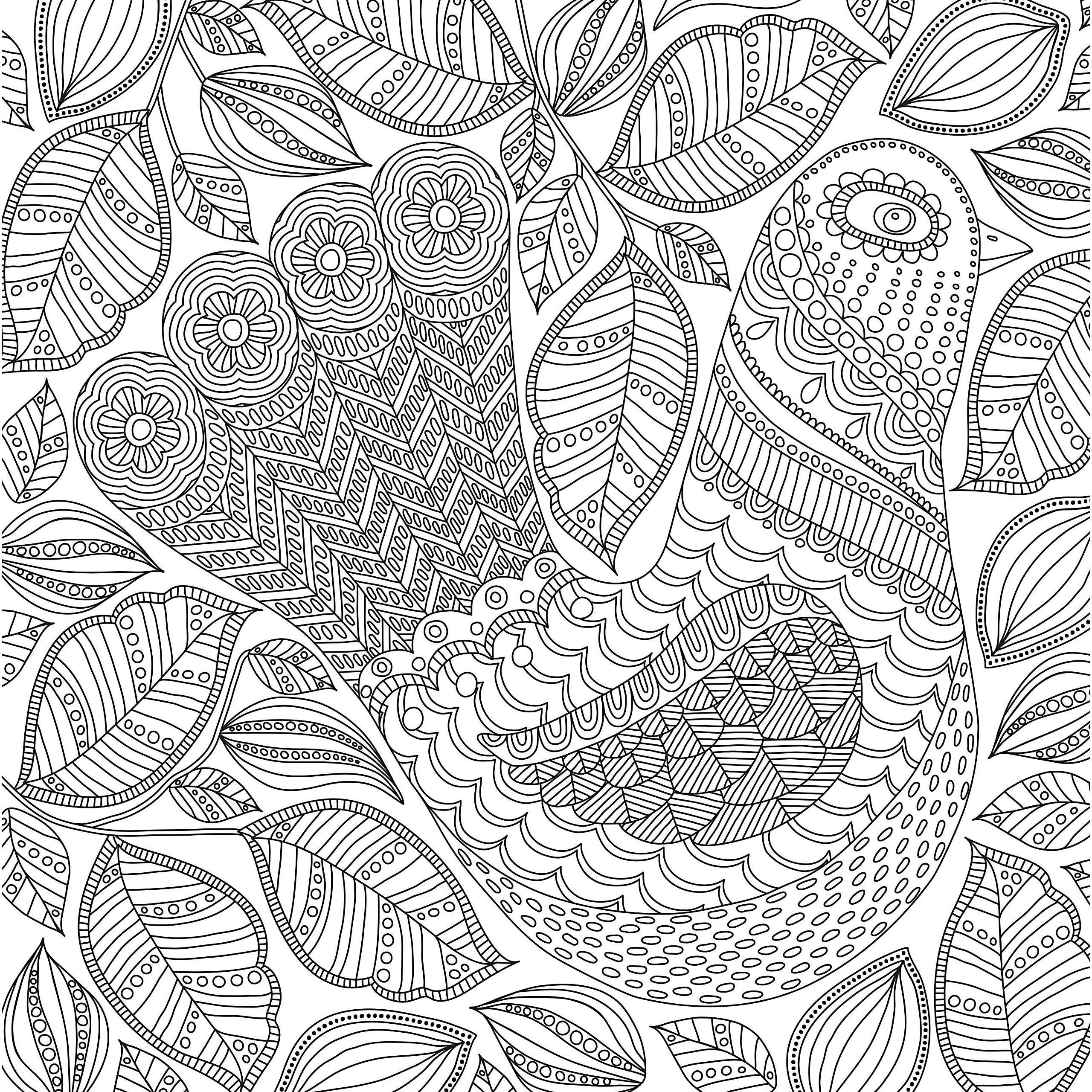 COLORING BOOK BLOOMS BIRDS & BUTTERFLIES