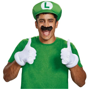 LUIGI ADULT ACCESSORY KIT