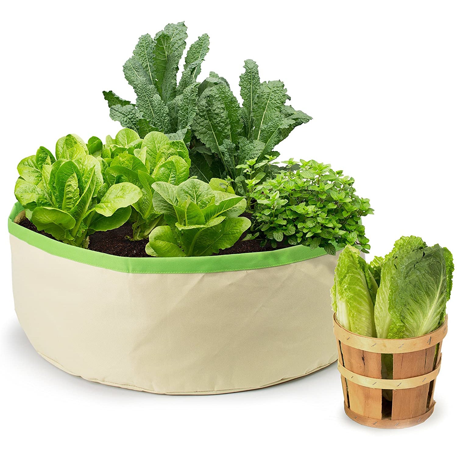 Hierbas y verdes cosecha Grow Bolsa