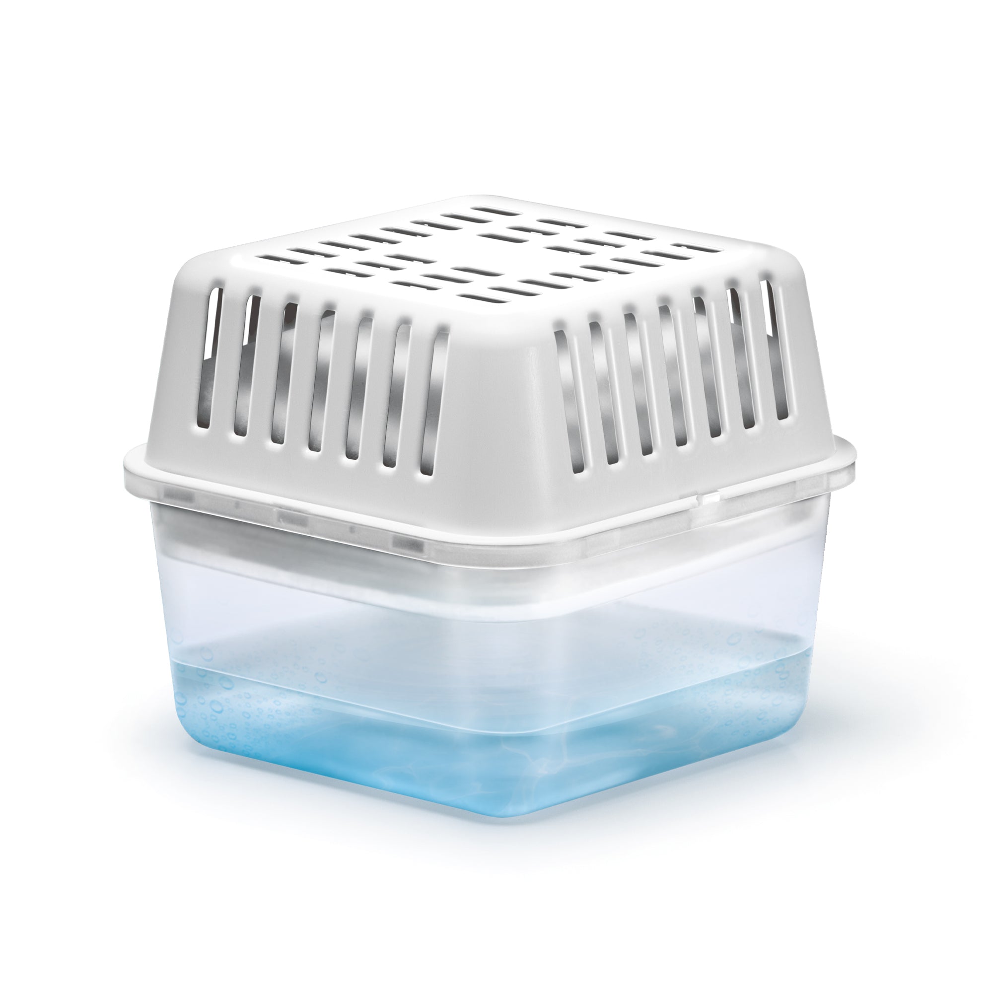 Compact 250g Unscented