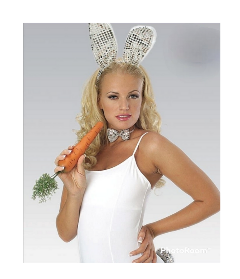 Sequin Bunny Accessory Kit