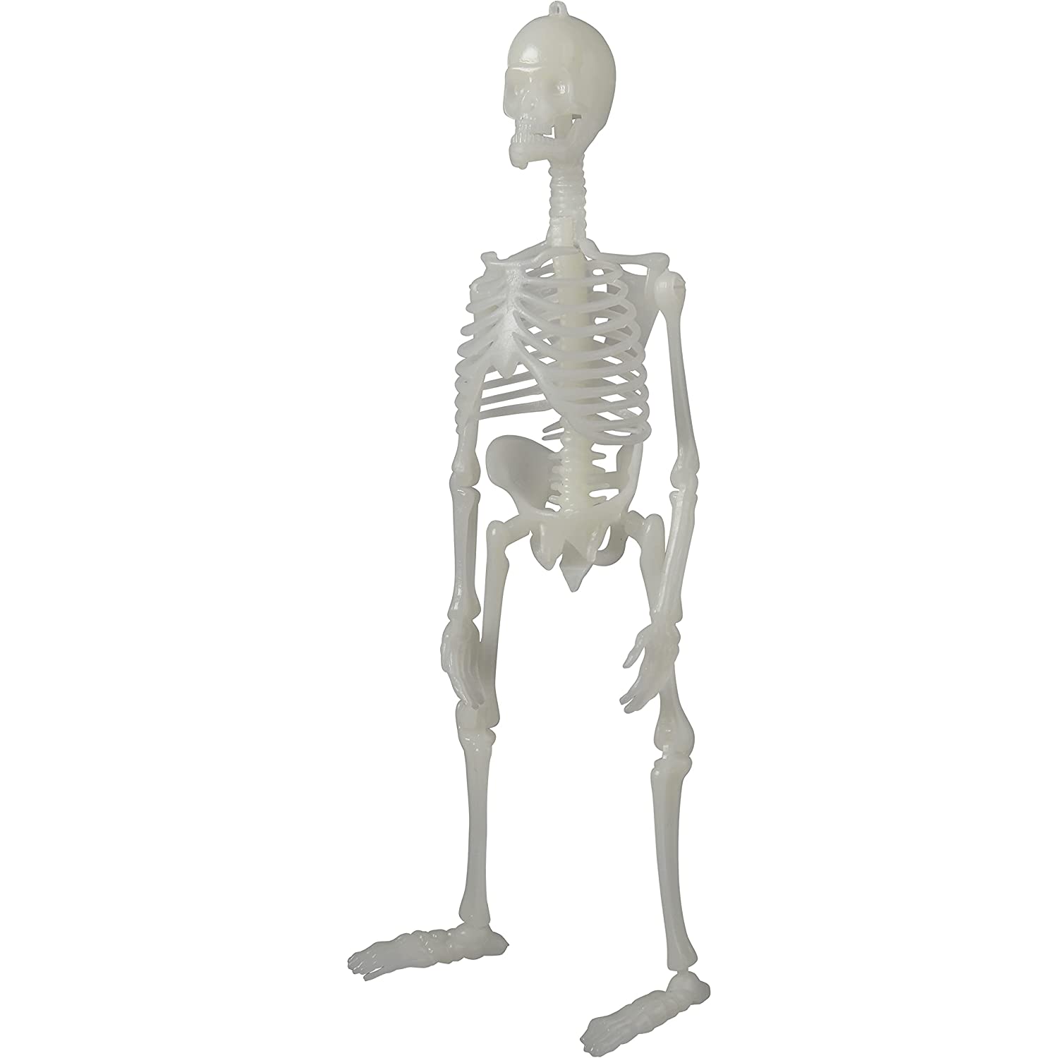 Glow a in the dark Box of bones